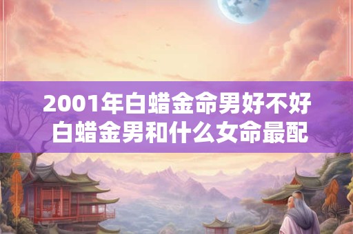 2001年白蜡金命男好不好 白蜡金男和什么女命最配