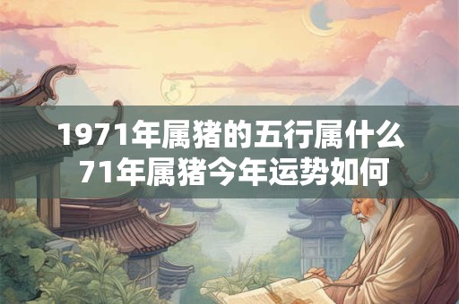 1971年属猪的五行属什么 71年属猪今年运势如何
