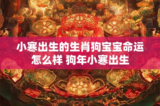 小寒出生的生肖狗宝宝命运怎么样 狗年小寒出生