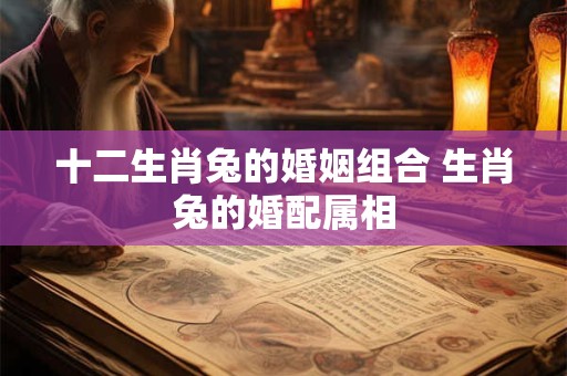十二生肖兔的婚姻组合 生肖兔的婚配属相