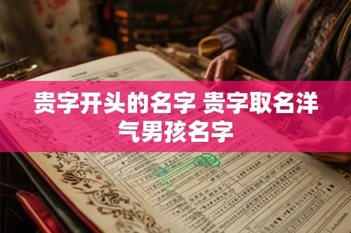 贵字开头的名字 贵字取名洋气男孩名字