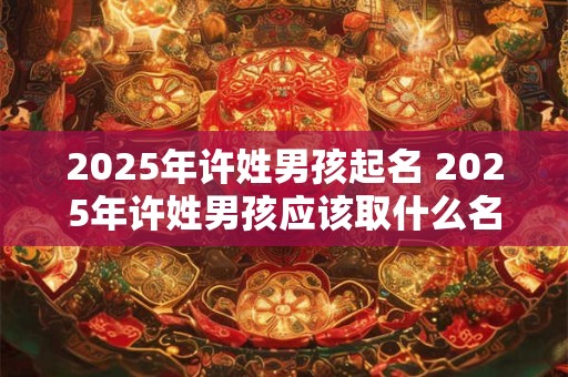 2025年许姓男孩起名 2025年许姓男孩应该取什么名字