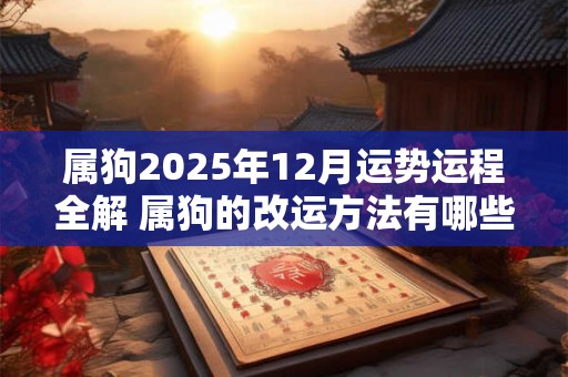 属狗2025年12月运势运程全解 属狗的改运方法有哪些