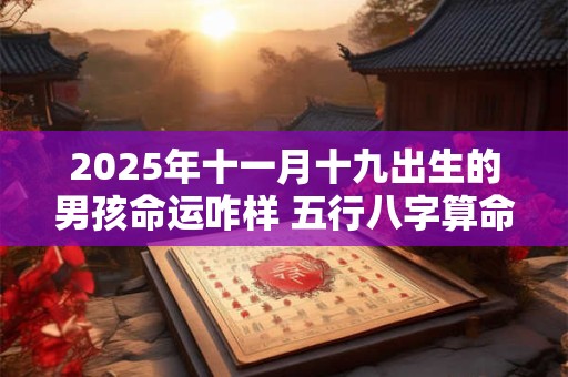 2025年十一月十九出生的男孩命运咋样 五行八字算命