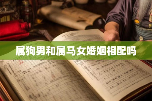 属狗男和属马女婚姻相配吗