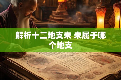 解析十二地支未 未属于哪个地支