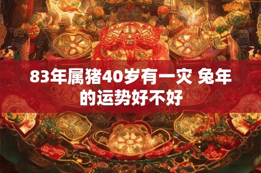83年属猪40岁有一灾 兔年的运势好不好