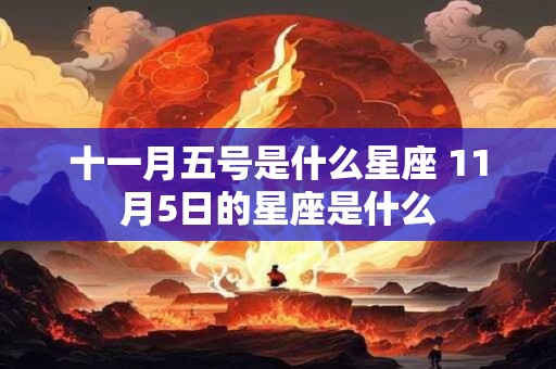 十一月五号是什么星座 11月5日的星座是什么