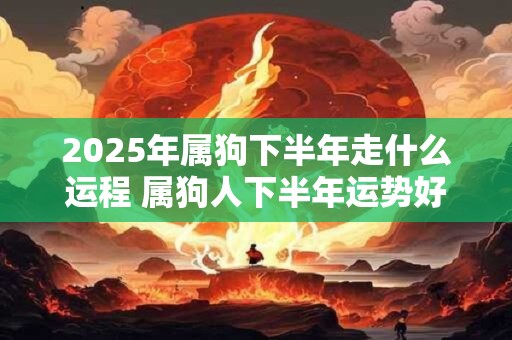 2025年属狗下半年走什么运程 属狗人下半年运势好不好