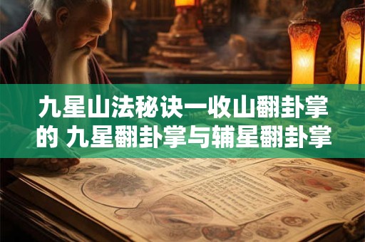 九星山法秘诀一收山翻卦掌的 九星翻卦掌与辅星翻卦掌