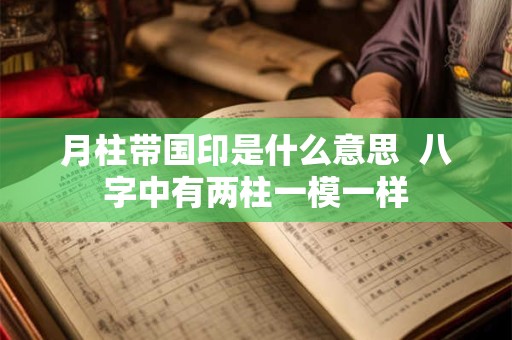 月柱带国印是什么意思  八字中有两柱一模一样