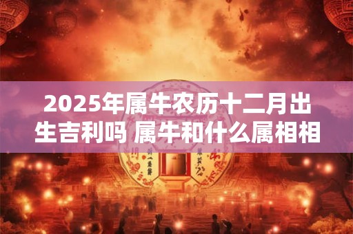 2025年属牛农历十二月出生吉利吗 属牛和什么属相相克