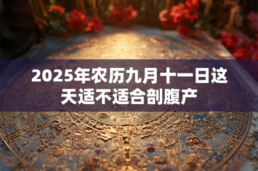 2026年农历九月十一日这天适不适合剖腹产 2026年农历九月十一日这天适不适合剖腹产