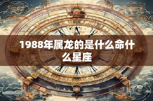 1988年属龙的是什么命什么星座