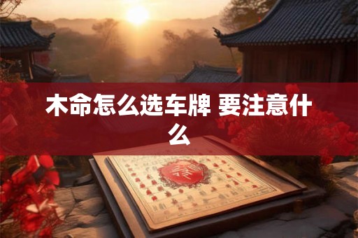 木命怎么选车牌 要注意什么