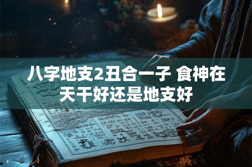 详细阅读:八字地支2丑合一子 食神在天干好还是地支好 八字地支2丑合一子 食神在天干好还是地支好