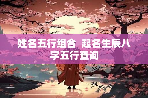 姓名五行组合  起名生辰八字五行查询