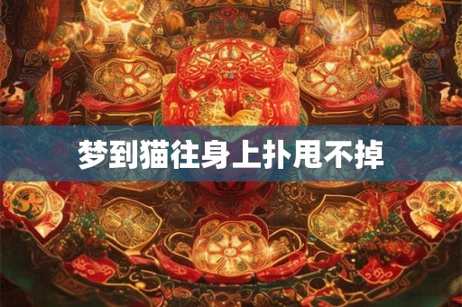 梦到猫往身上扑甩不掉