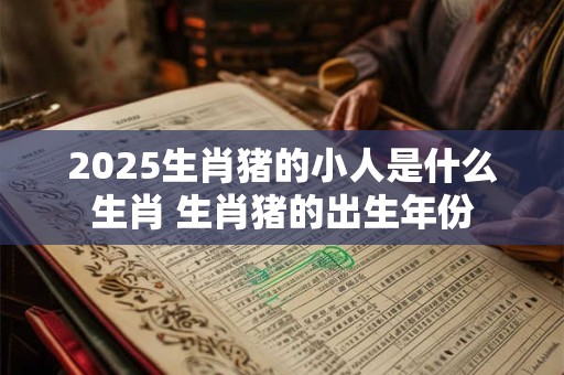 2025生肖猪的小人是什么生肖 生肖猪的出生年份