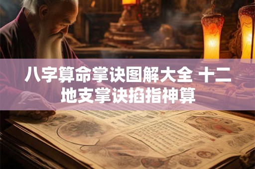八字算命掌诀图解大全 十二地支掌诀掐指神算