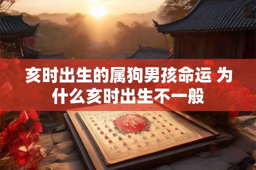 亥时出生的属狗男孩命运 为什么亥时出生不一般