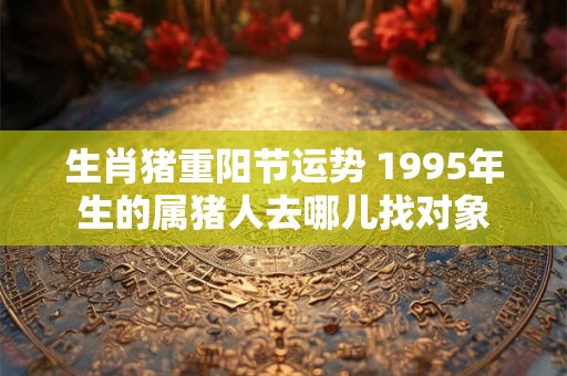 生肖猪重阳节运势 1995年生的属猪人去哪儿找对象