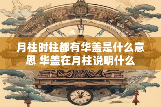 月柱时柱都有华盖是什么意思 华盖在月柱说明什么