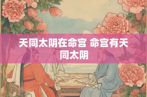 天同太阴在命宫 命宫有天同太阴