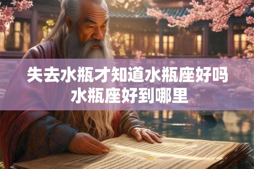 失去水瓶才知道水瓶座好吗 水瓶座好到哪里