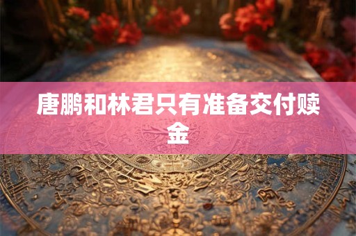 唐鹏和林君只有准备交付赎金