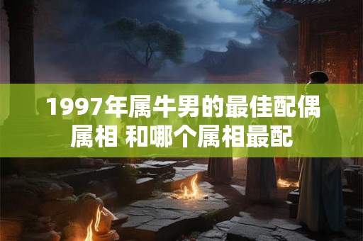 1997年属牛男的最佳配偶属相 和哪个属相最配