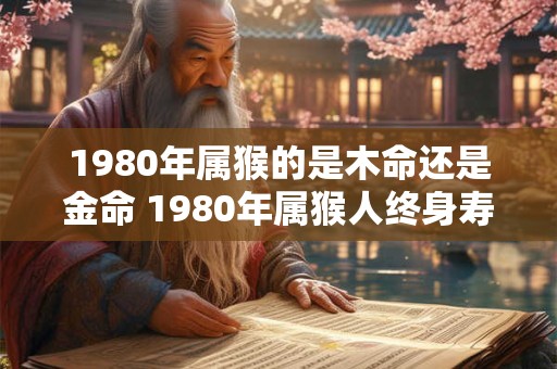 1980年属猴的是木命还是金命 1980年属猴人终身寿命