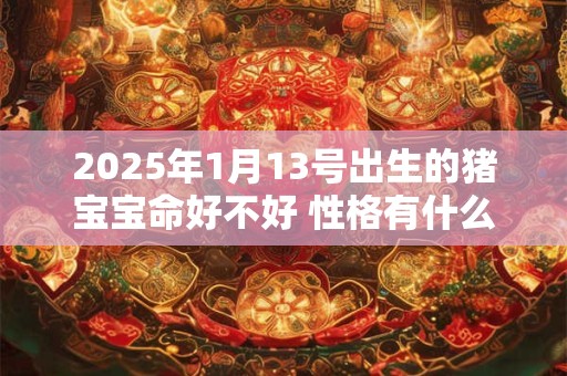 2025年1月13号出生的猪宝宝命好不好 性格有什么特点