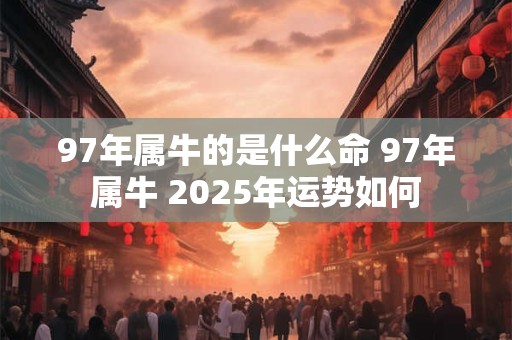 97年属牛的是什么命 97年属牛 2025年运势如何