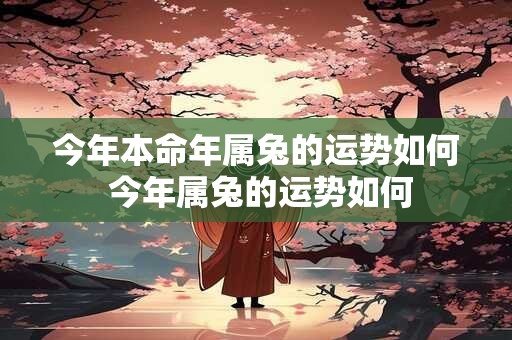 今年本命年属兔的运势如何 今年属兔的运势如何