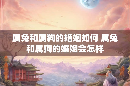 属兔和属狗的婚姻如何 属兔和属狗的婚姻会怎样