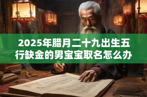 2025年腊月二十九出生五行缺金的男宝宝取名怎么办