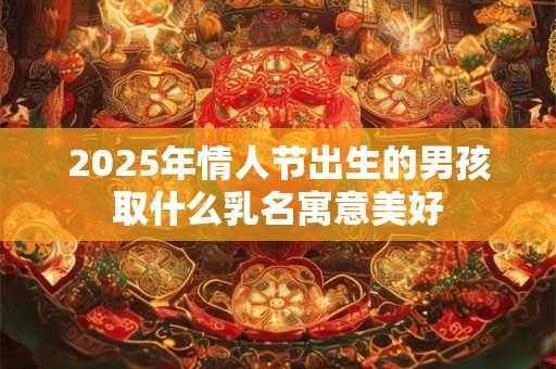 2025年情人节出生的男孩取什么乳名寓意美好