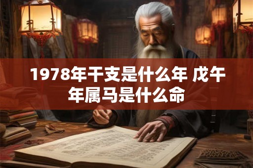 1978年干支是什么年 戊午年属马是什么命
