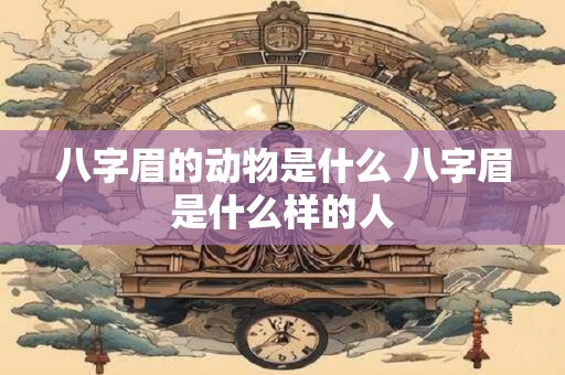 八字眉的动物是什么 八字眉是什么样的人