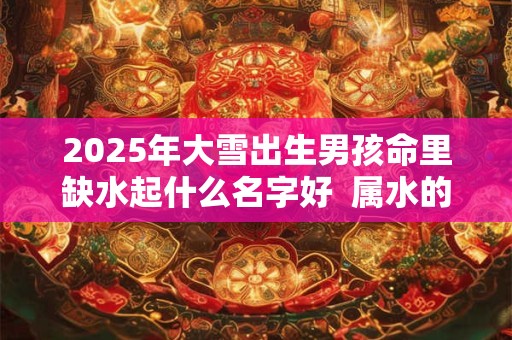2025年大雪出生男孩命里缺水起什么名字好  属水的名字分享