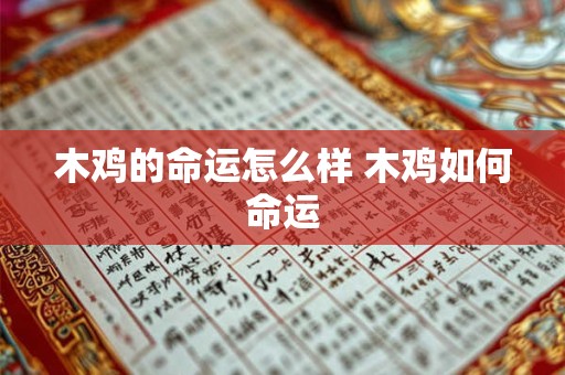 木鸡的命运怎么样 木鸡如何命运