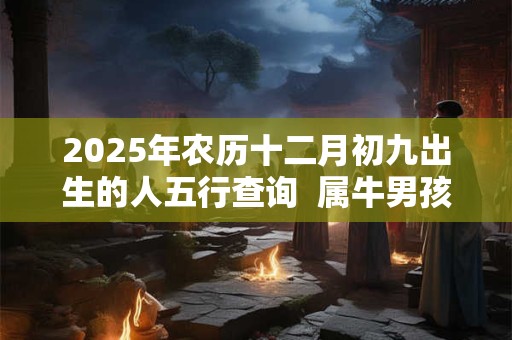 2025年农历十二月初九出生的人五行查询  属牛男孩取名