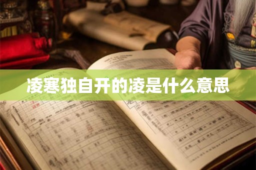 凌寒独自开的凌是什么意思