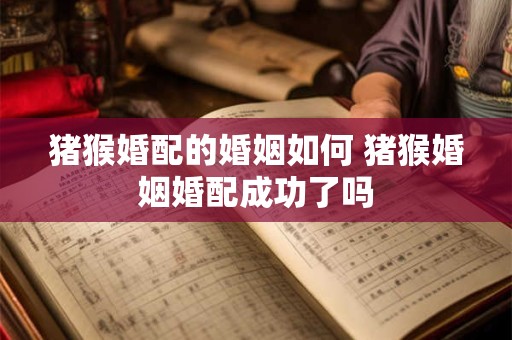 猪猴婚配的婚姻如何 猪猴婚姻婚配成功了吗