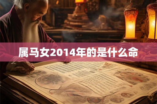 属马女2014年的是什么命