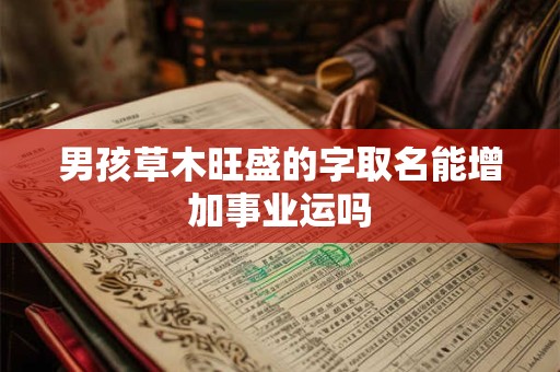 男孩草木旺盛的字取名能增加事业运吗