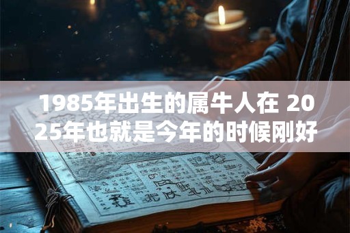 1985年出生的属牛人在 2025年也就是今年的时候刚好37岁