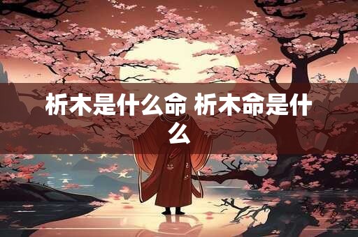 析木是什么命 析木命是什么