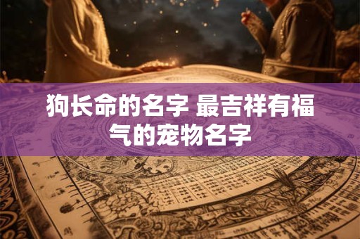 狗长命的名字 最吉祥有福气的宠物名字
